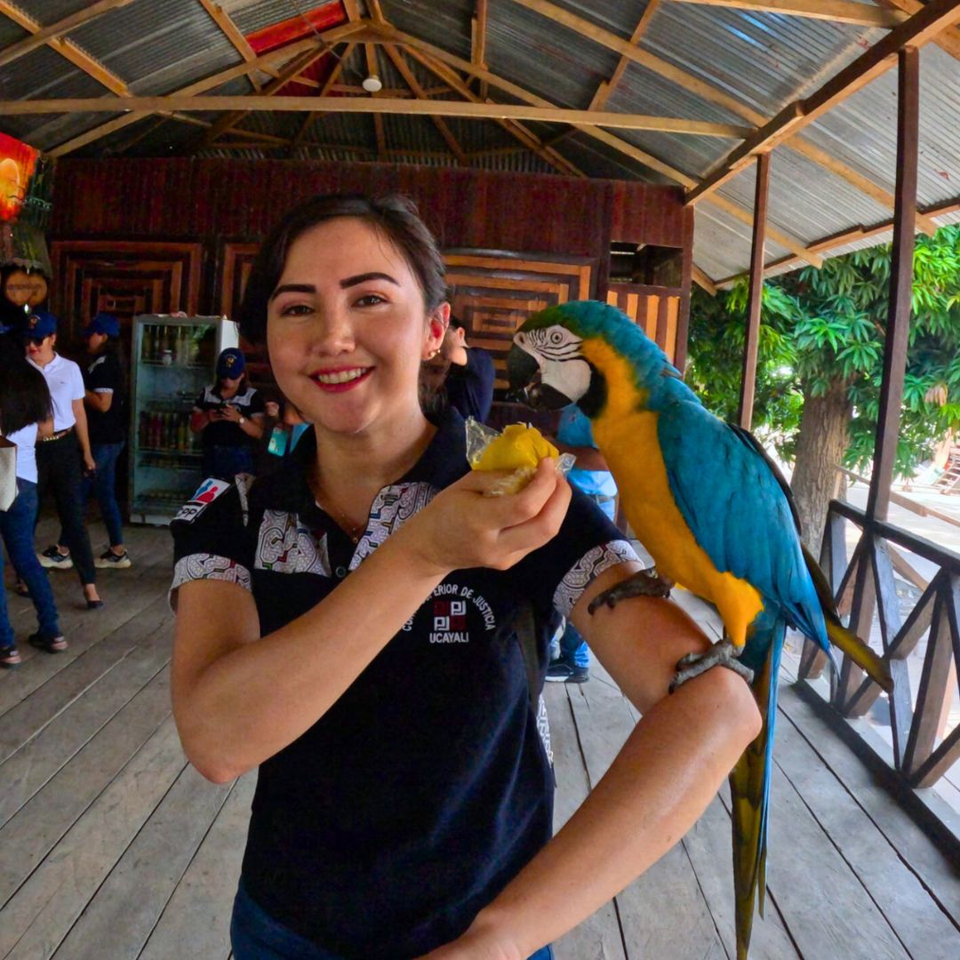 Yarina LUXURY Aventura - Imagen 5