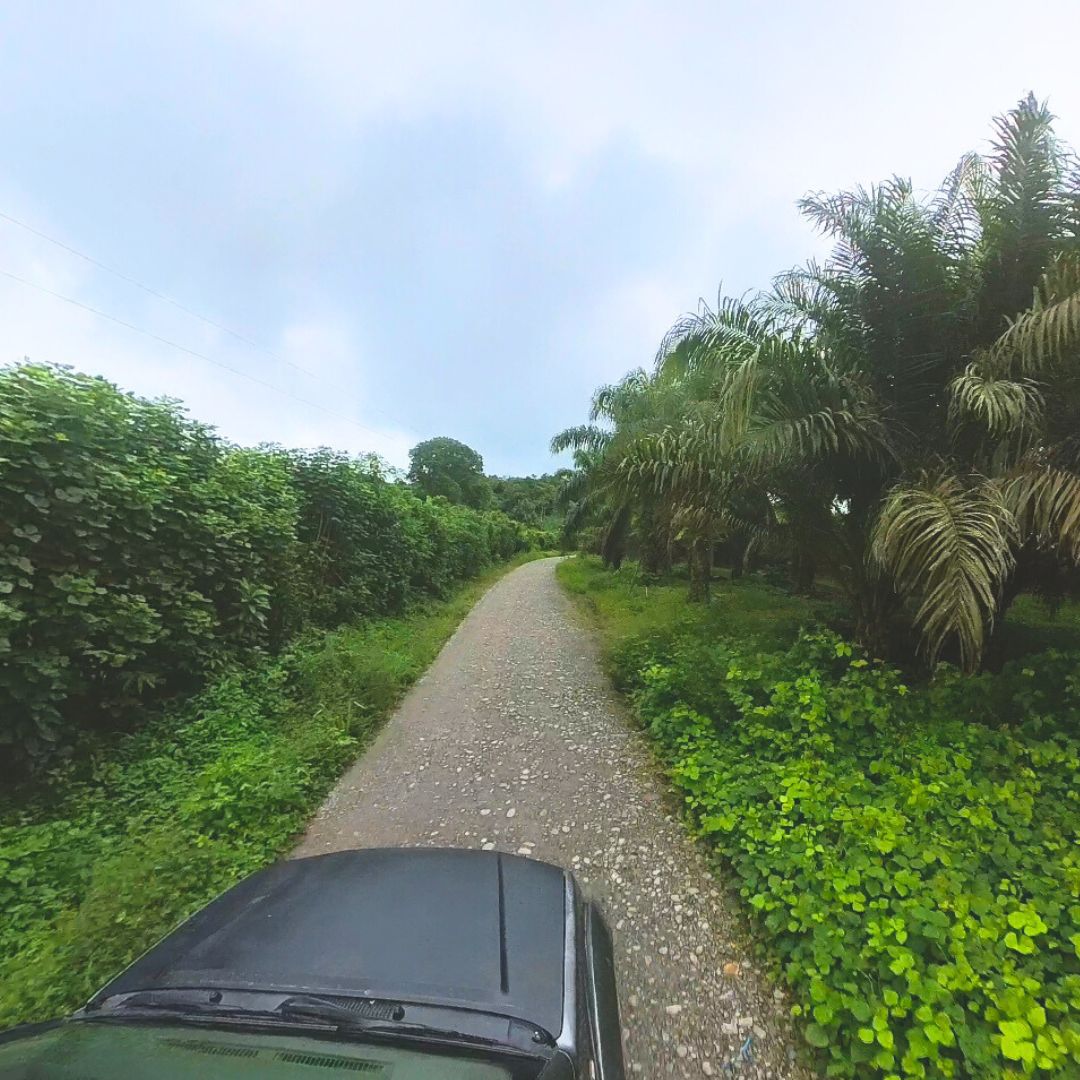 Ruta Naturaleza en la Catarata de SHAMBILLO - Imagen 4