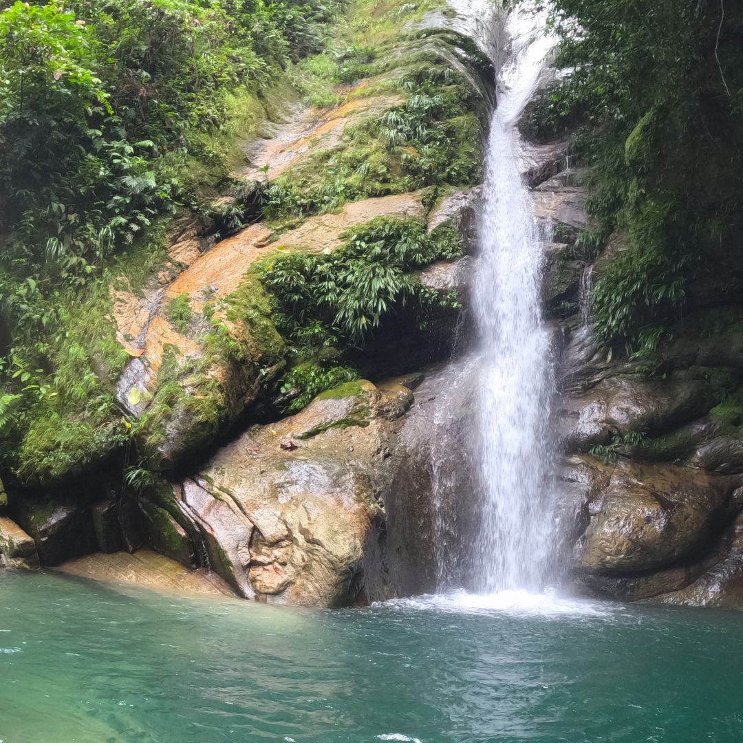 Ruta Naturaleza en la Catarata de SHAMBILLO - Imagen 2