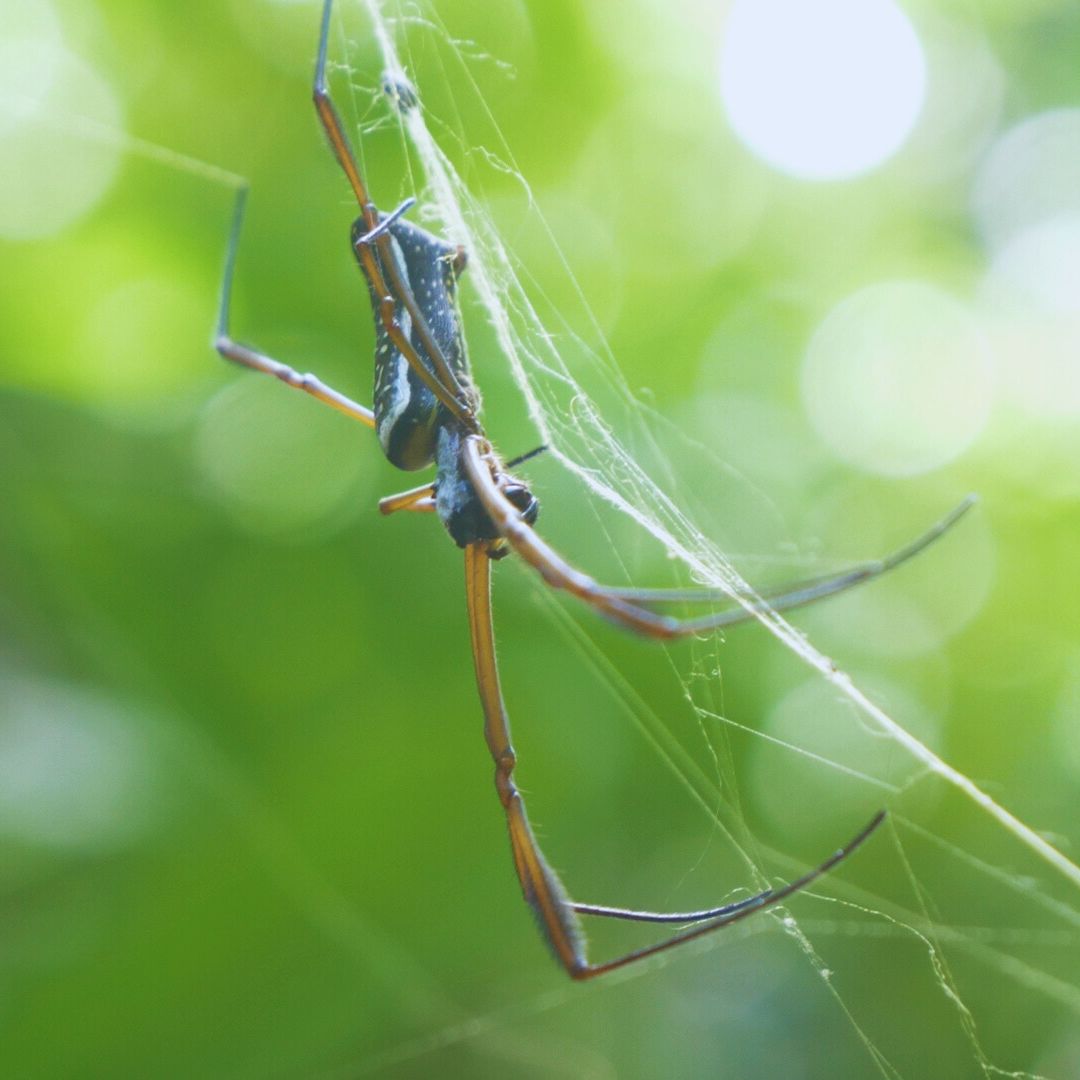 Aventura en la Catarata de REGALIAS - Imagen 6